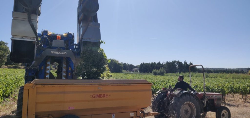 vins à ambesc vendanges coteaux d'aix en provence vin rosé vigne 