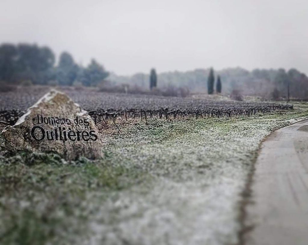 vignoble-coteaux-aix-provence-vignes-lambesc-neige