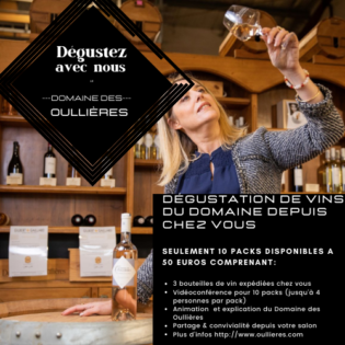 degustation-vins-domaine-oullieres-videoconference