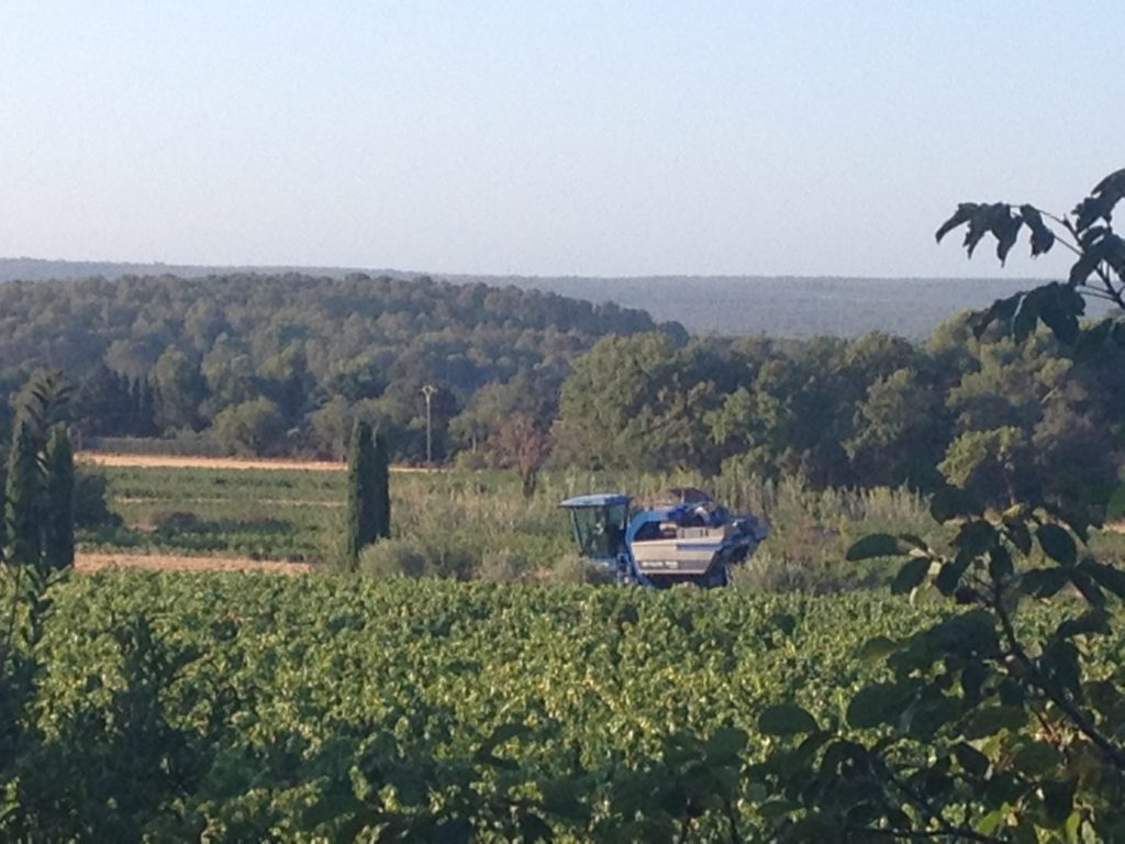 domaine viticole à lambesc vendanges coteaux d'aix en provencce vin provence wine rosé