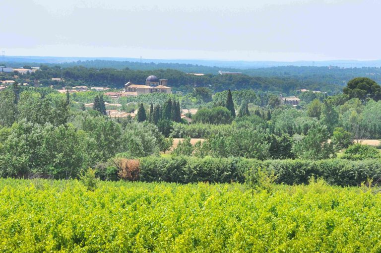 coteaux d'aix en provence lambesc domaine des oullières vins vignoble rosé rouge La route des vins de Provence Auswirkungen der Trockenheit auf die Weinberge in der Provence
