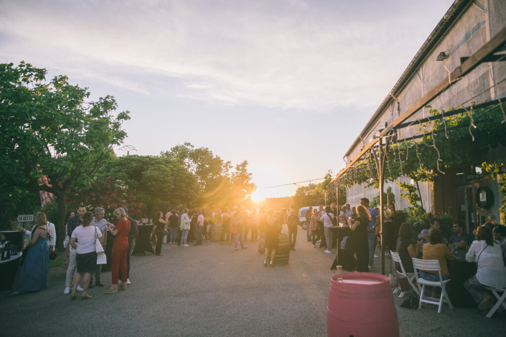 decouvrr-vins-provence-soiree-vignoble-coucher-soleil