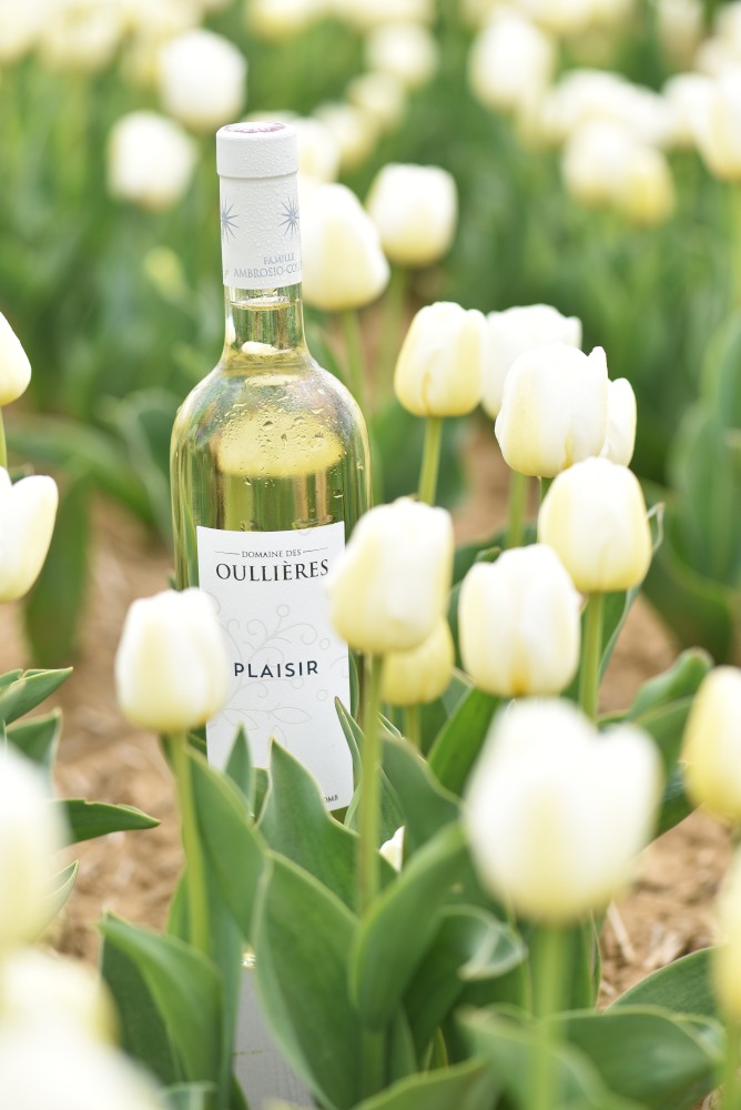 vin-blanc-partage-excellence-tulipe-provence