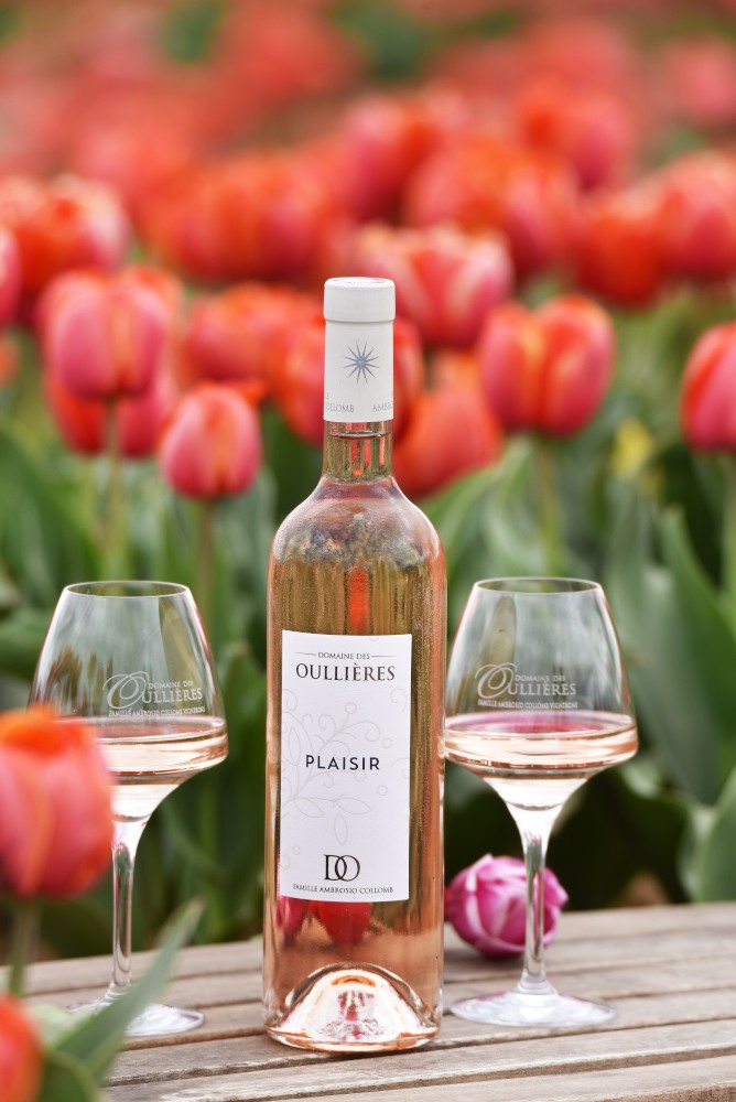 bouteille_vin_rosé_partage_tulipes_rouge_verre