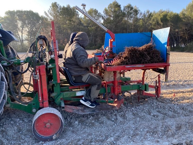 plantation_vignes-provence_viticulture_tracteur