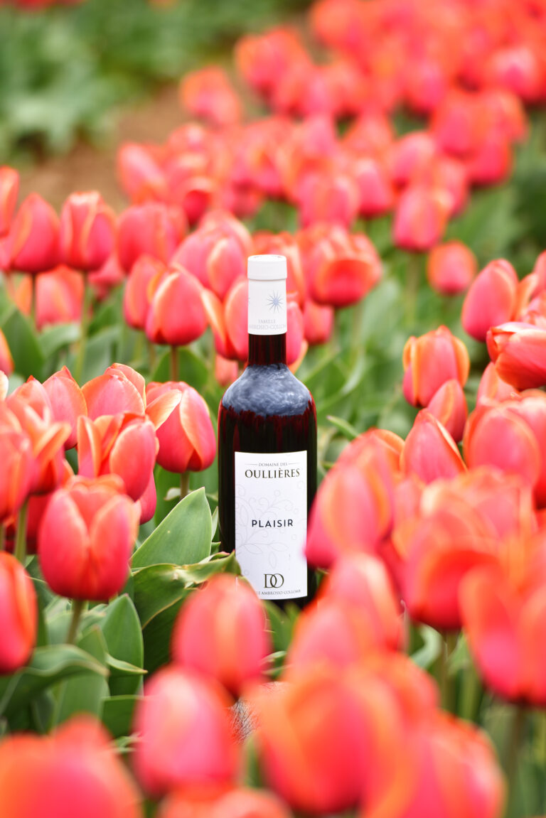 vin_rouge_partage_bouteille_tulipe