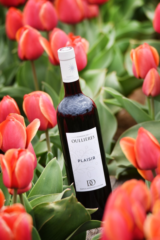 Bouteille_vin_plaisir_rouge_2022_tulipes_vin_frais