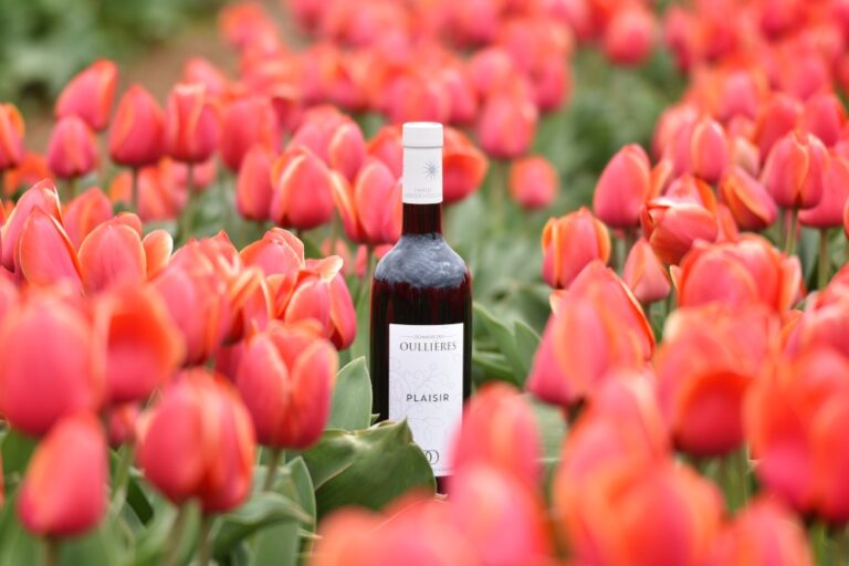 vin_rouge_frais_gourmand_bouteille_tulipes