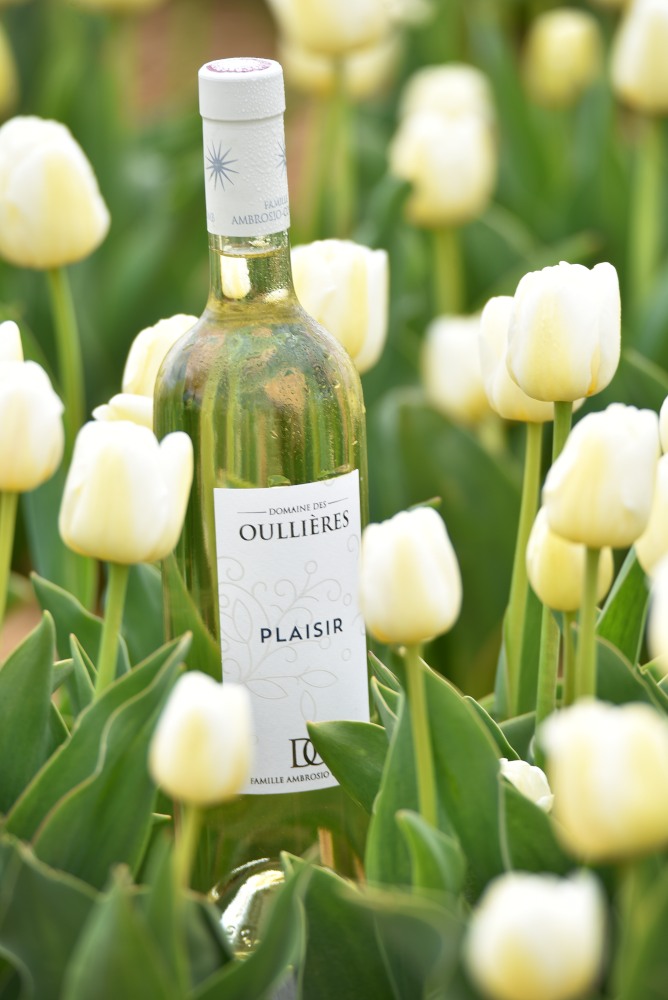 medaille_or_avignon_vin_blanc_notes_citron_vert_bouteille_tulipes_provence
