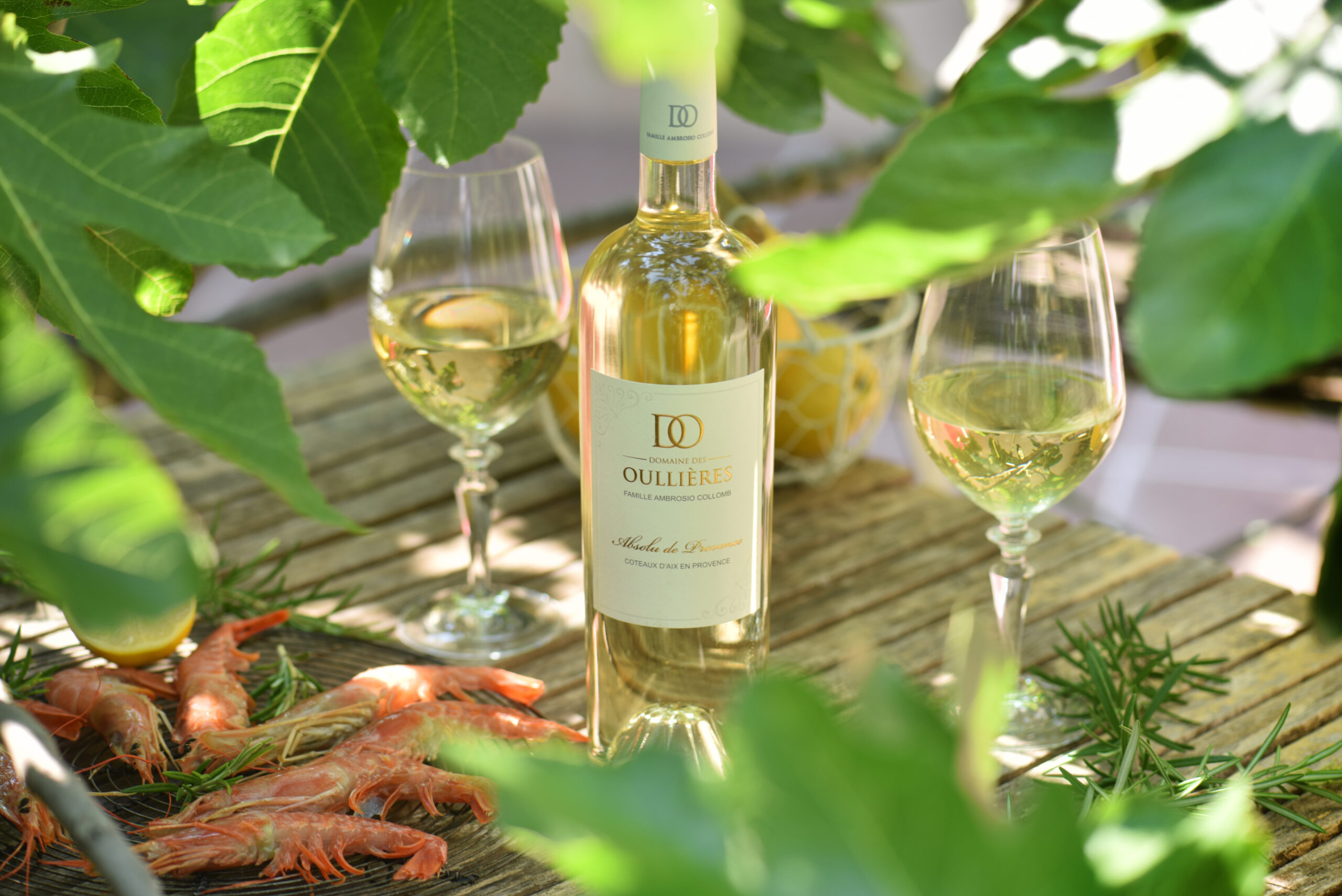 médaille d’or pour notre vin blanc sec de Provence