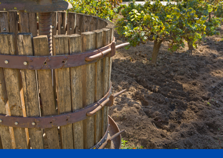 zentrale Ausrüstung zur Weinherstellung pressoir materiel essentiel pour faire du vin