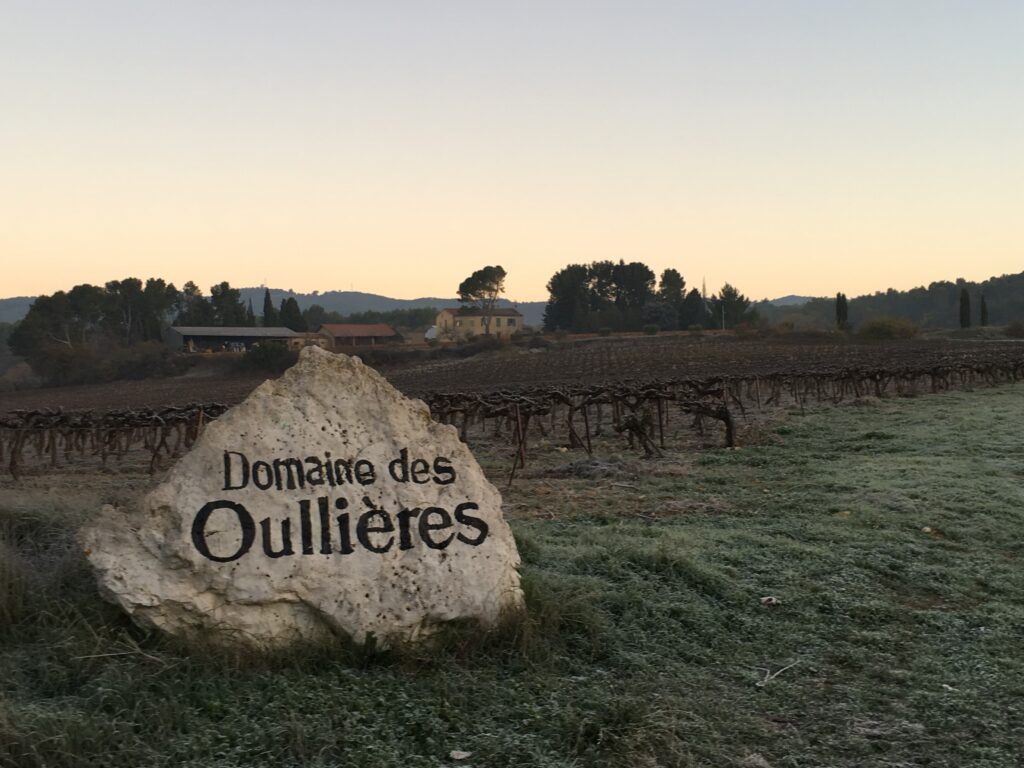 En décembre dans un vignoble en Provence In December in a Provençal vineyard